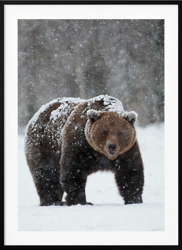 “Frozen Strength” Animal Metal Wall Art