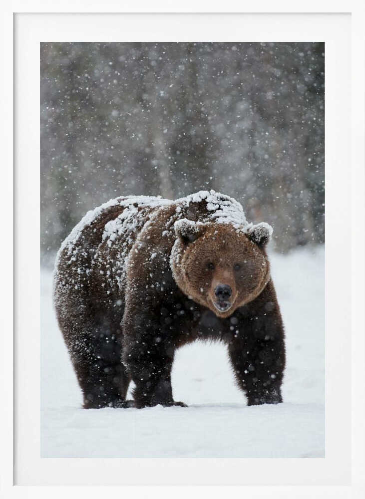 “Frozen Strength” Animal Metal Wall Art