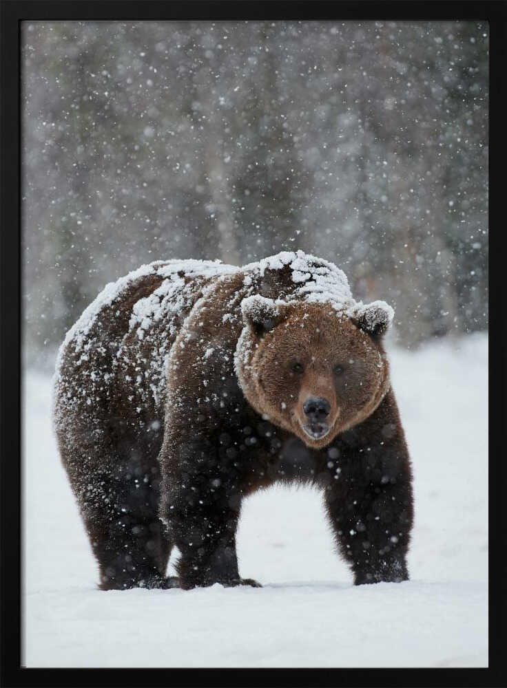 “Frozen Strength” Animal Metal Wall Art