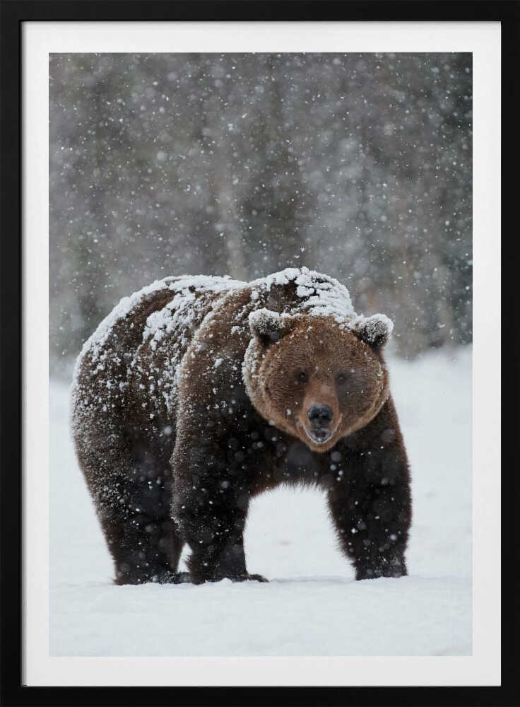 “Frozen Strength” Animal Metal Wall Art
