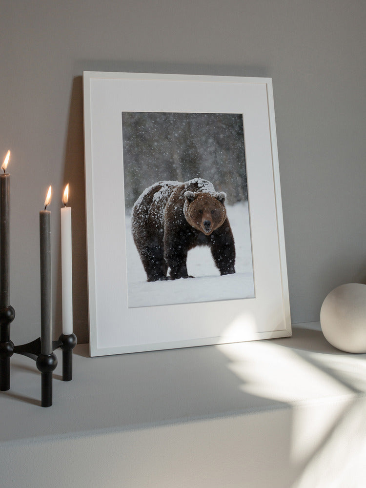 “Frozen Strength” Animal Metal Wall Art