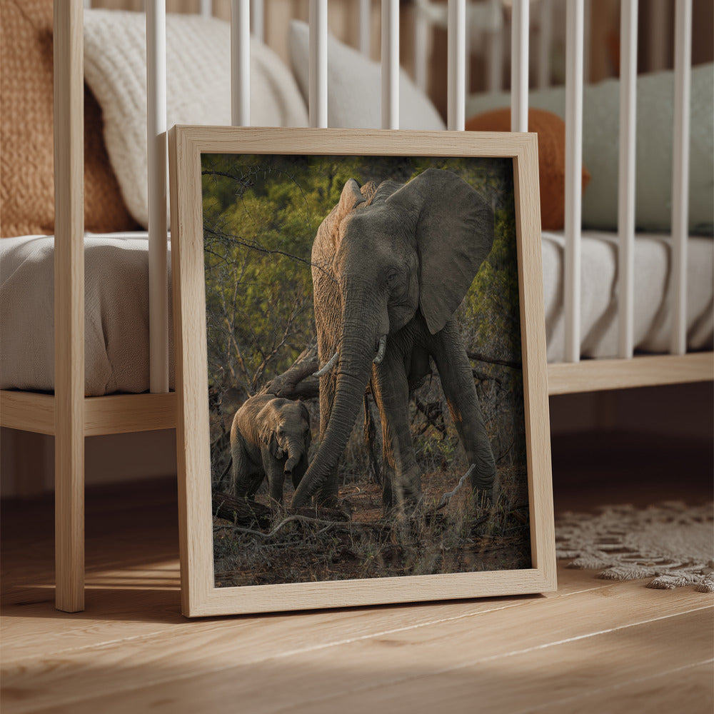 Majestic Elephant Journey Metal Wall Art