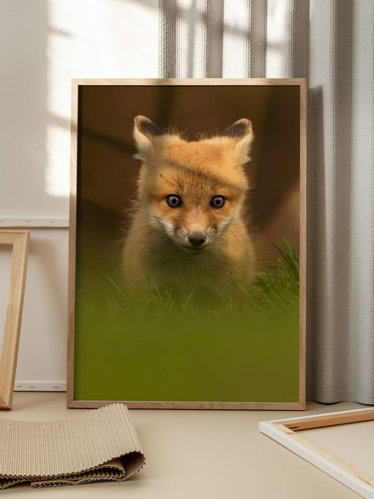 “Curious Forest Whisper” Animal Metal Wall Art