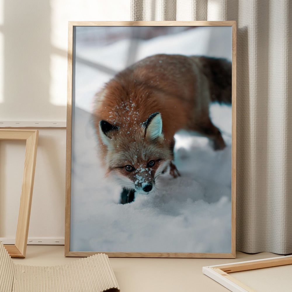 "Winter Fox" Animal Metal Wall Art