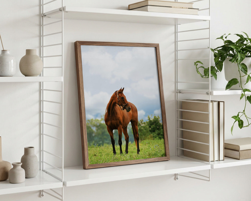 “Majestic Meadow Grace” Animal Metal Wall Art