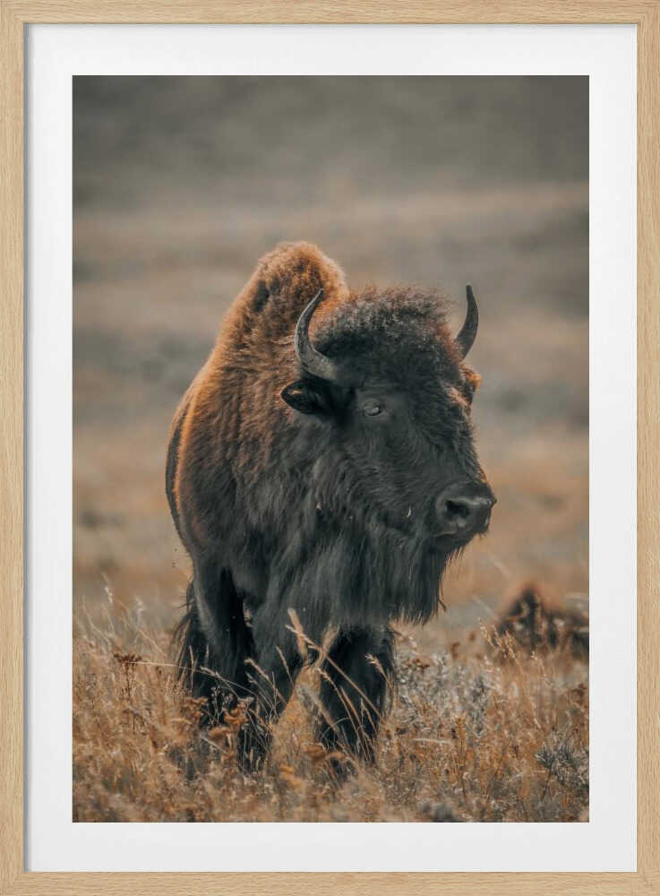 "Majestic Bison" Animal Metal Wall Art