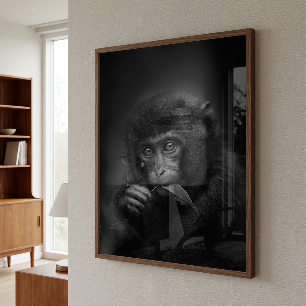 Curious Baby Monkey Metal Wall Art