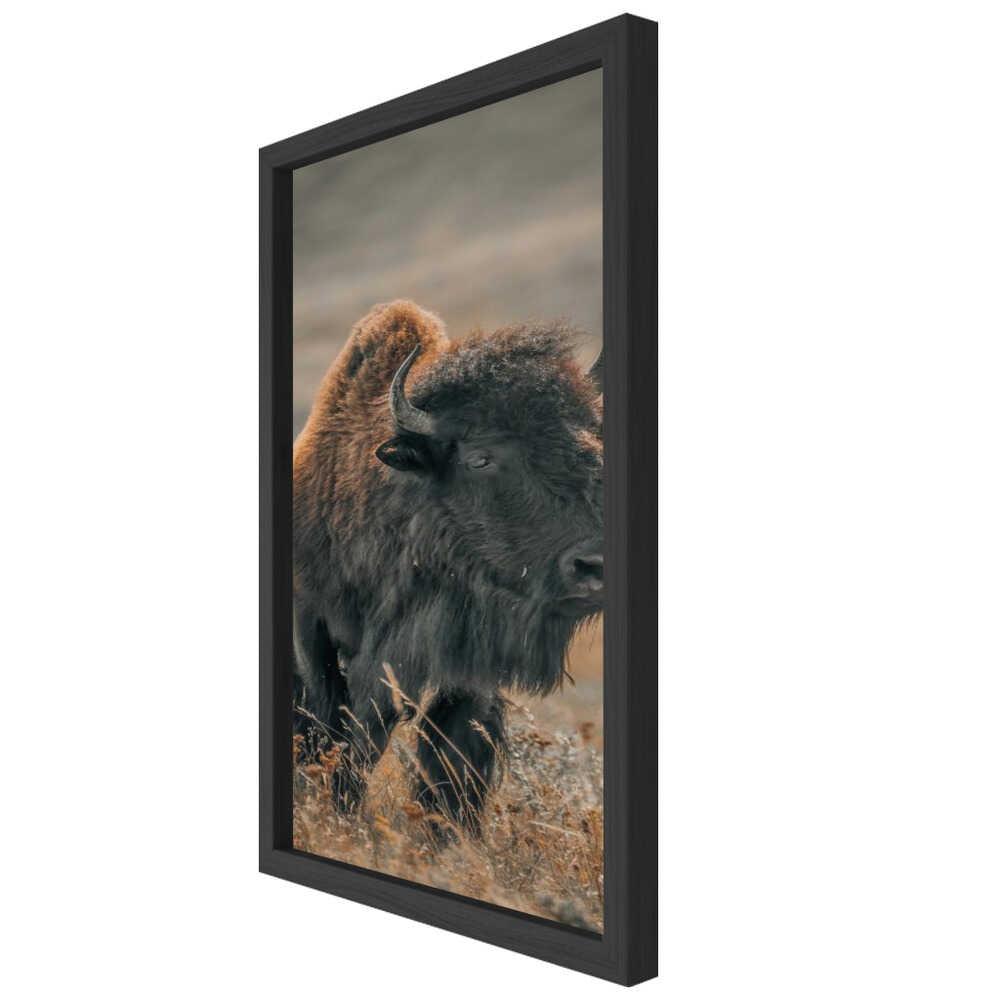 "Majestic Bison" Animal Metal Wall Art