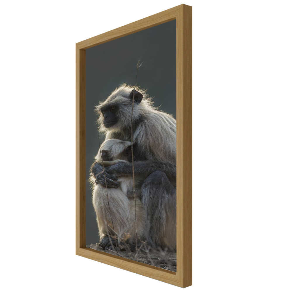 Silent Shelter – Monkey & Baby Animal Metal Wall Art