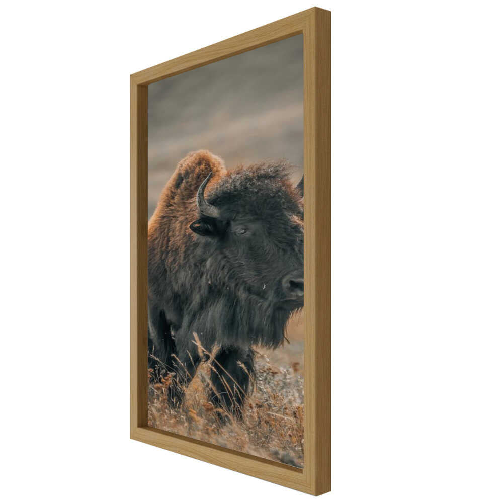 "Majestic Bison" Animal Metal Wall Art