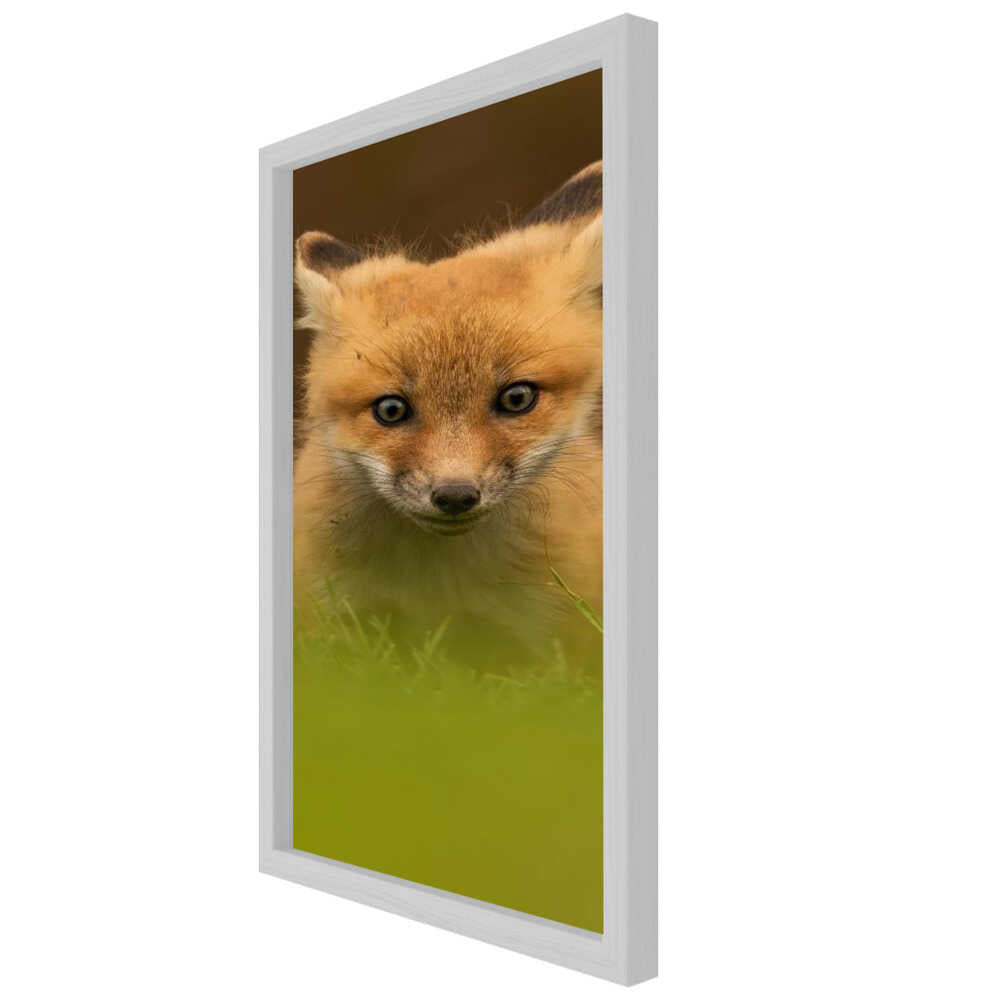 “Curious Forest Whisper” Animal Metal Wall Art