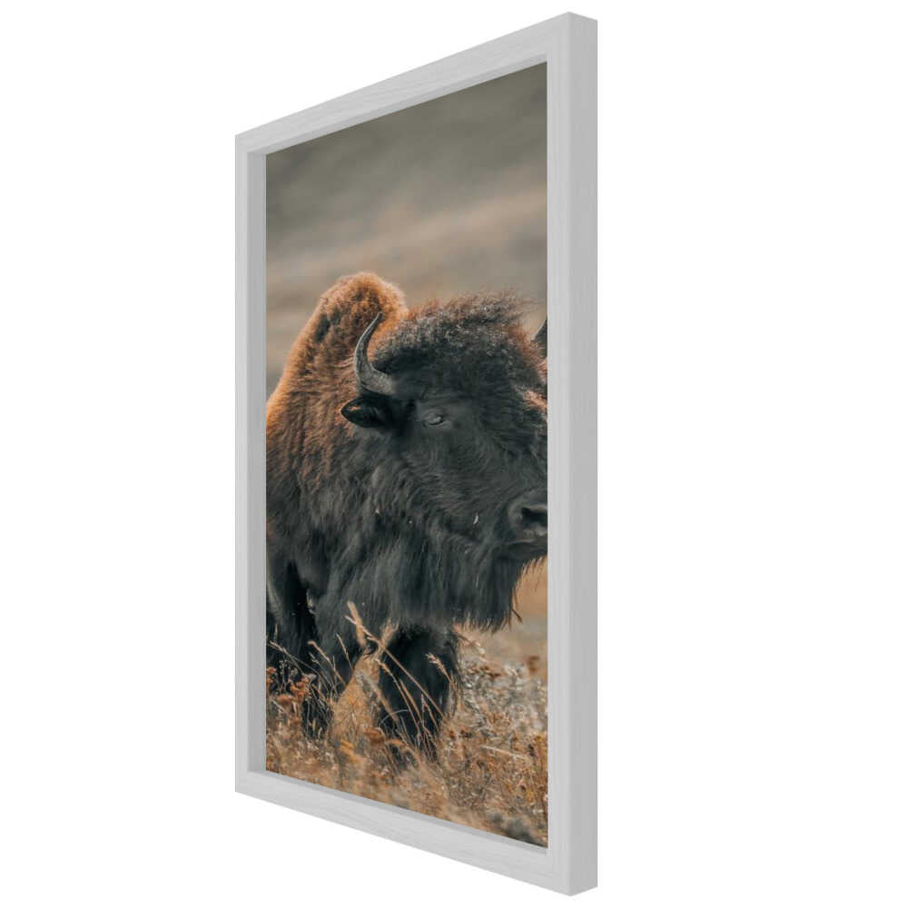 "Majestic Bison" Animal Metal Wall Art