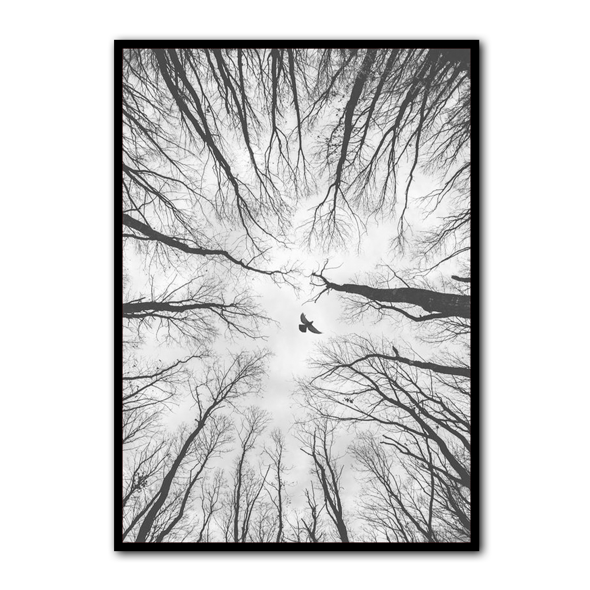 “Freedom Above” – Black & White Forest Bird  Metal Wall Art