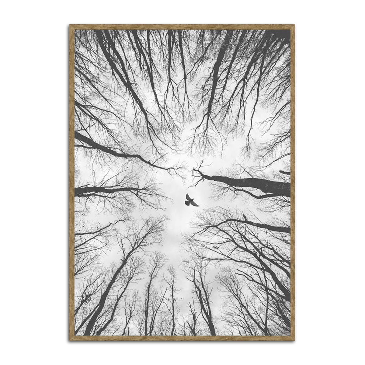 “Freedom Above” – Black & White Forest Bird  Metal Wall Art