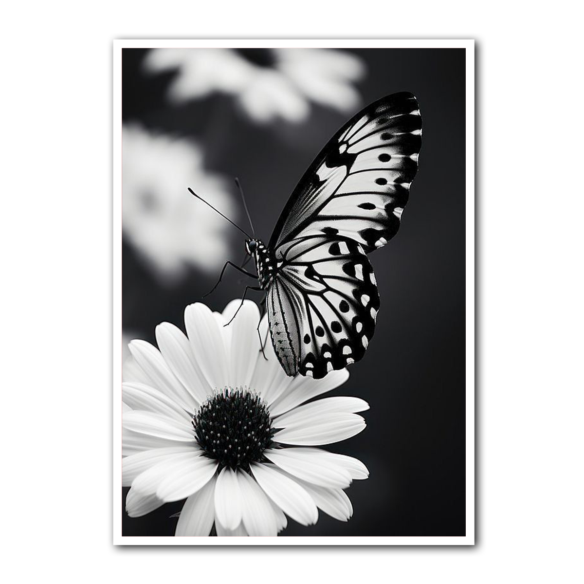 “Whispers of Nature” – Butterfly on Daisy  Metal Wall Art