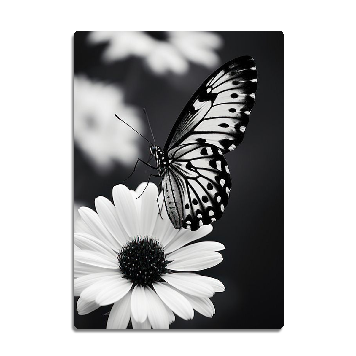“Whispers of Nature” – Butterfly on Daisy  Metal Wall Art