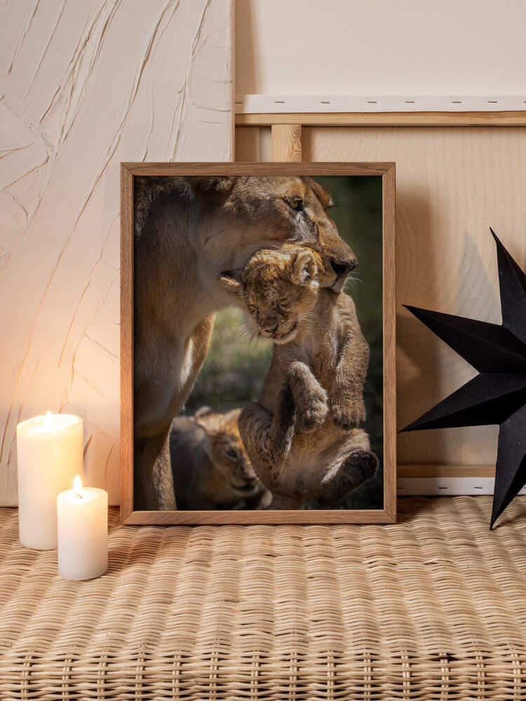 Mother’s Promise – Lion & Cub Animal Metal Wall Art