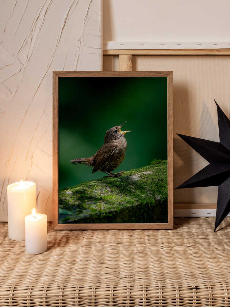Song of Stillness – Wren Metal Wall Art