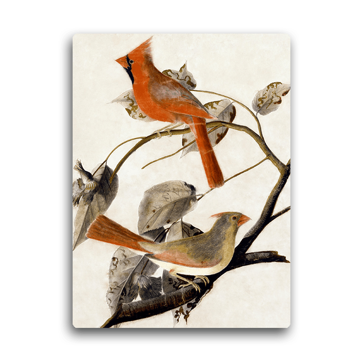 Feathered Ensemble - Bird Chorus - PixMagic