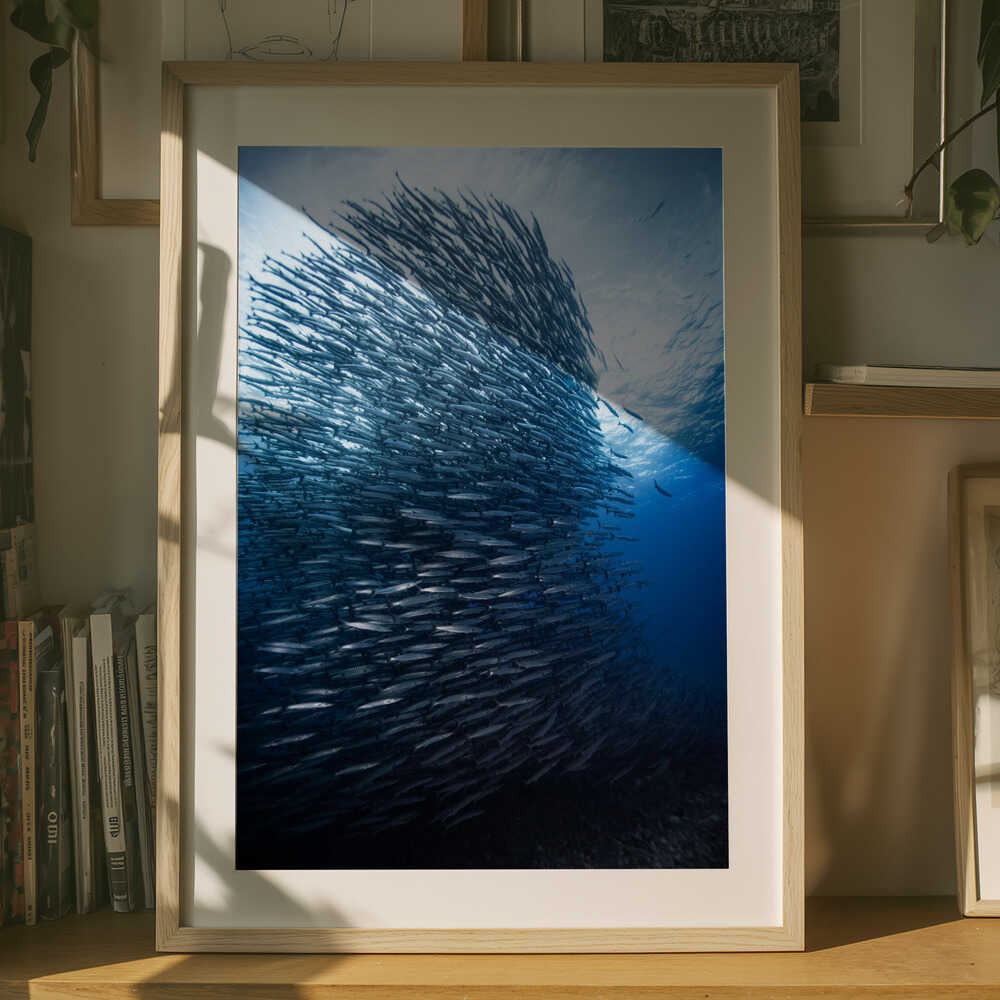 Ocean Pulse – School of Fish Metal Wall Art