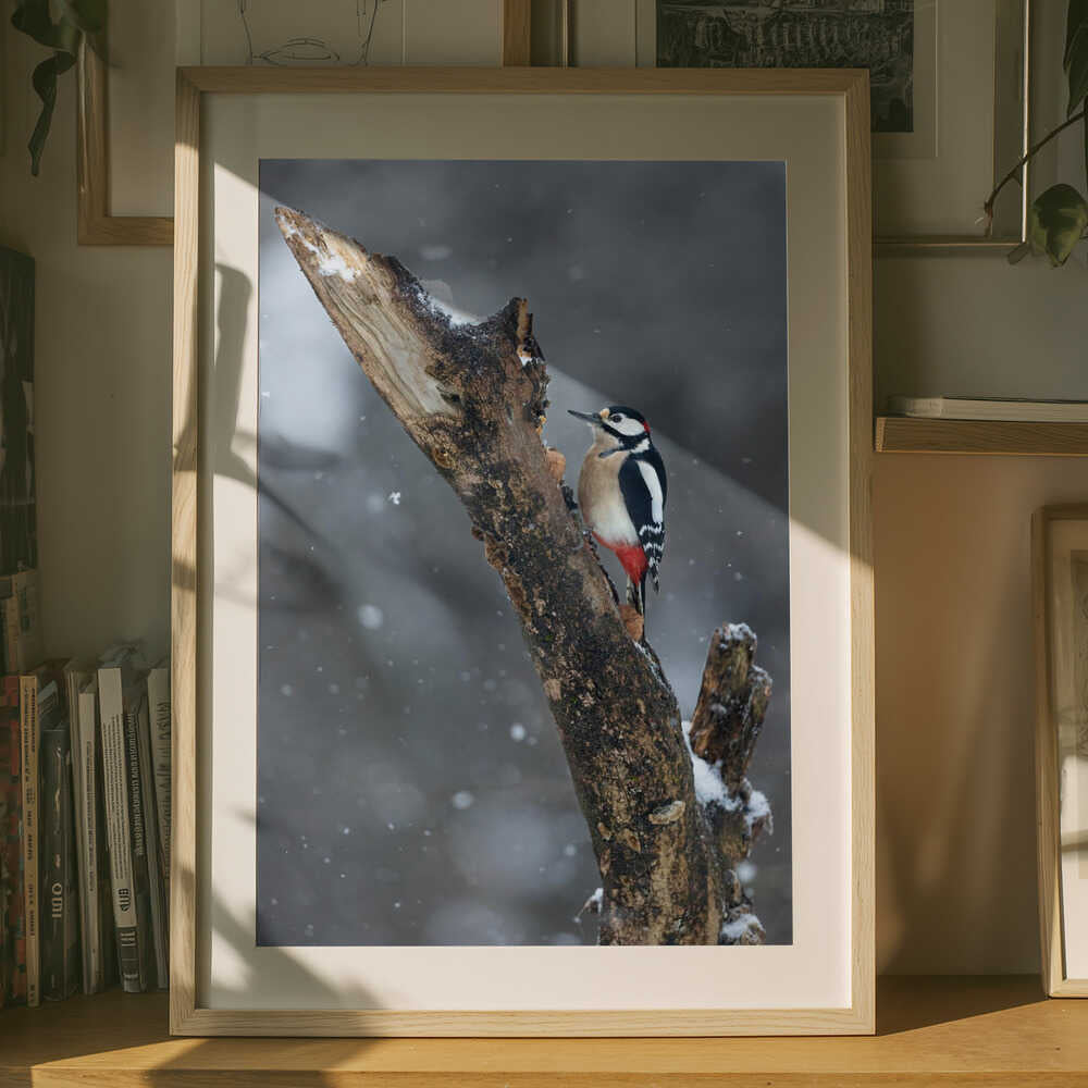 "Snowfall Woodpecker" Metal Wall Art
