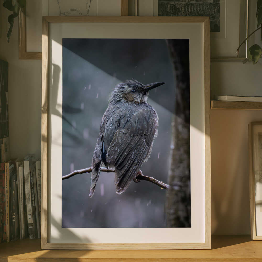 Rainlit Stillness – Floral Metal Wall Art