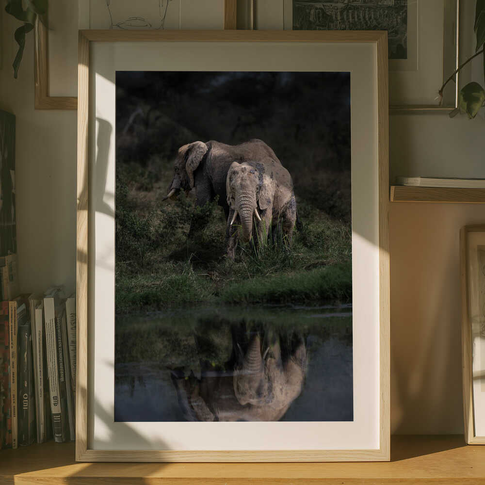 Enduring Strength – Elephant Metal Wall Art