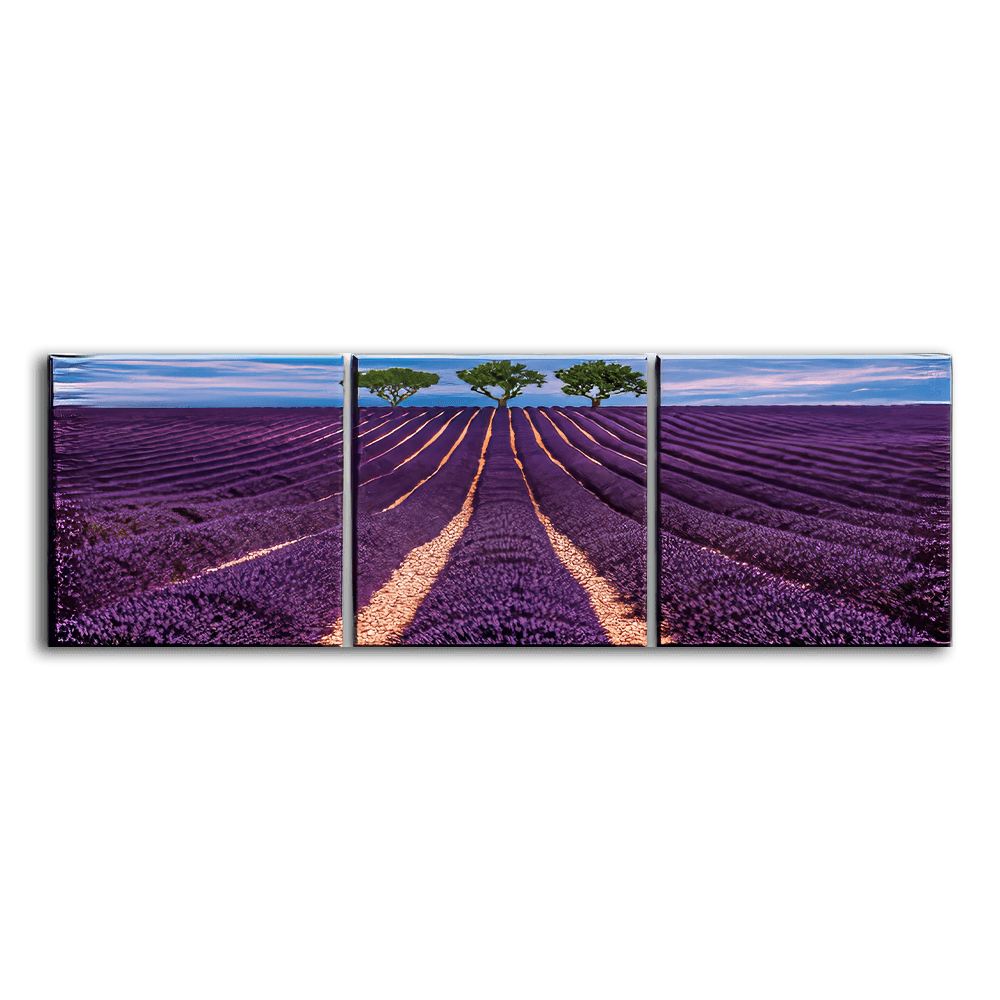 Lavender Field - 3panel - PixMagic