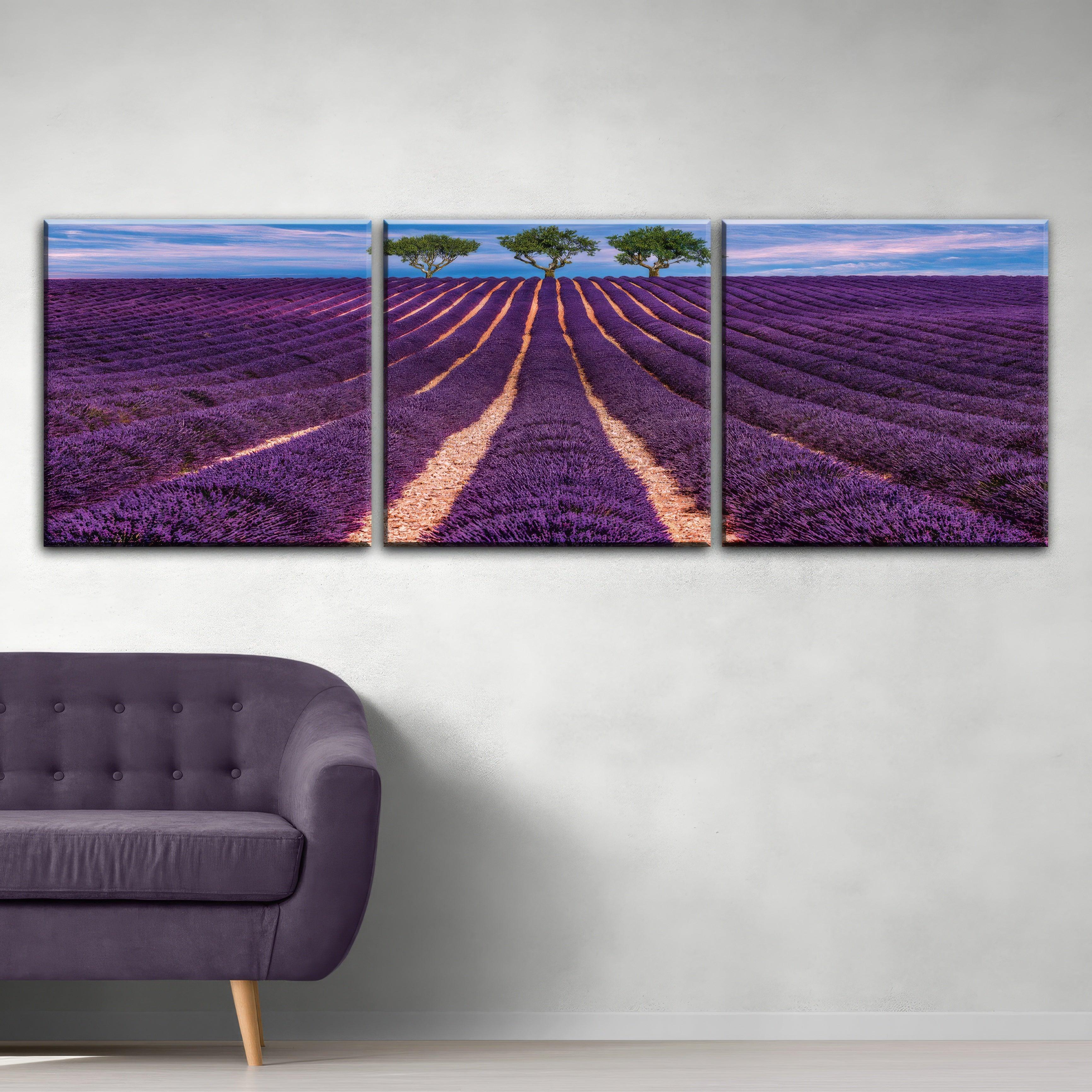 Lavender Field - 3panel - PixMagic