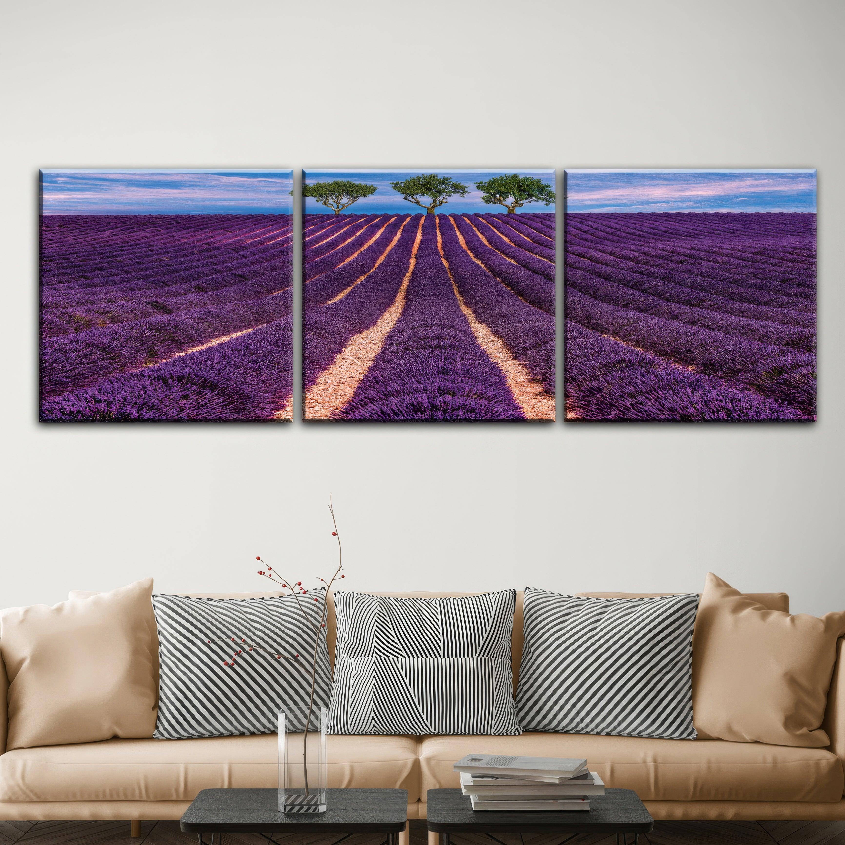 Lavender Field - 3panel - PixMagic