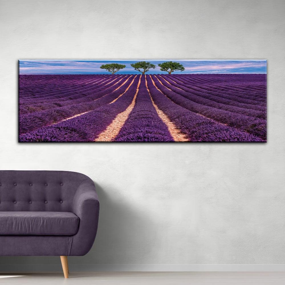 Lavender Field - PixMagic