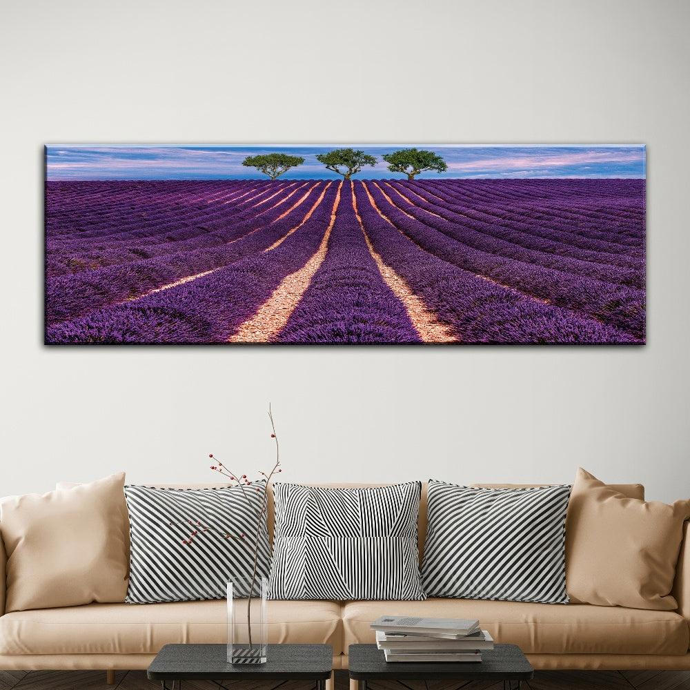 Lavender Field - PixMagic