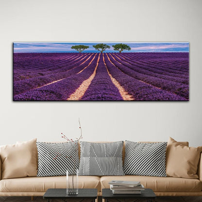 Lavender Field - PixMagic