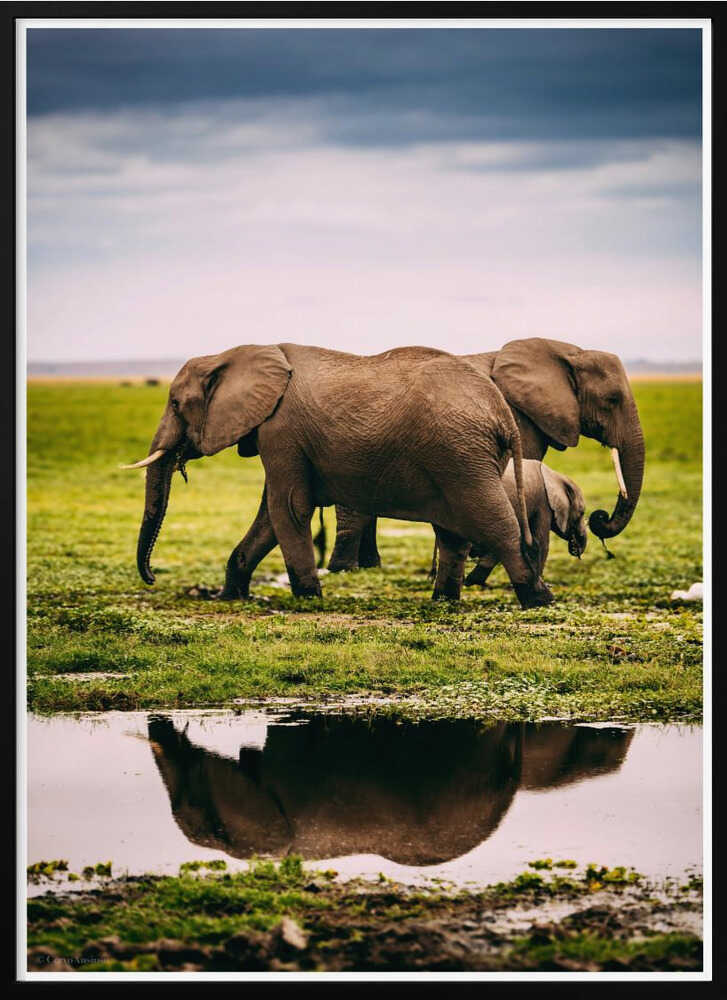 Elephant Family Journey Metal Wall Art