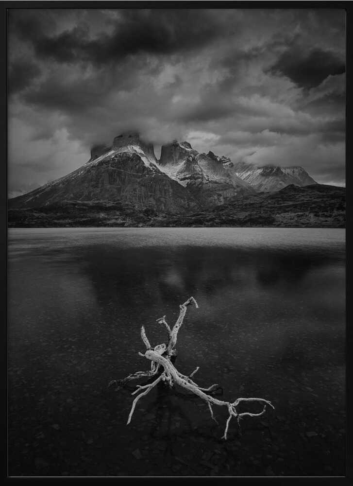 "Eternal Stillness" Metal Wall Art