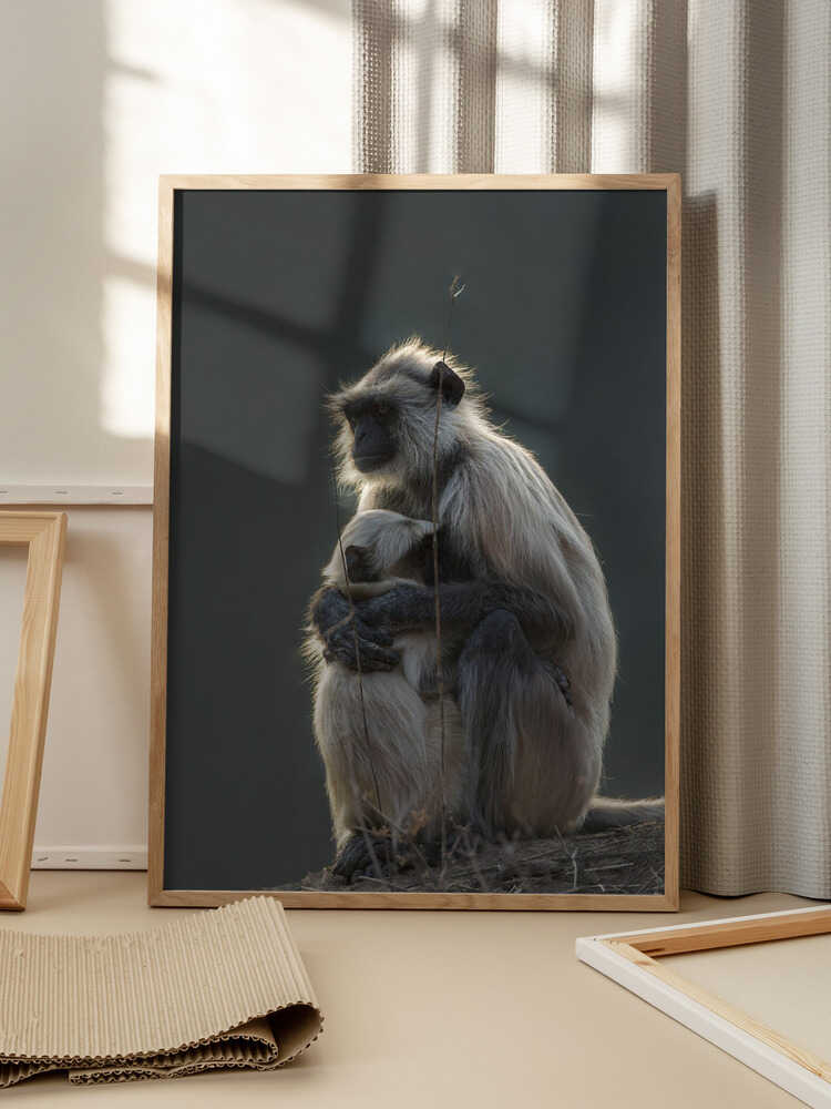 Silent Shelter – Monkey & Baby Animal Metal Wall Art