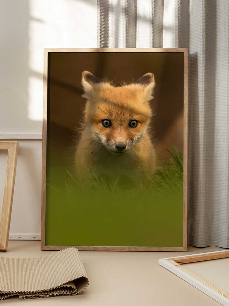 “Curious Forest Whisper” Animal Metal Wall Art