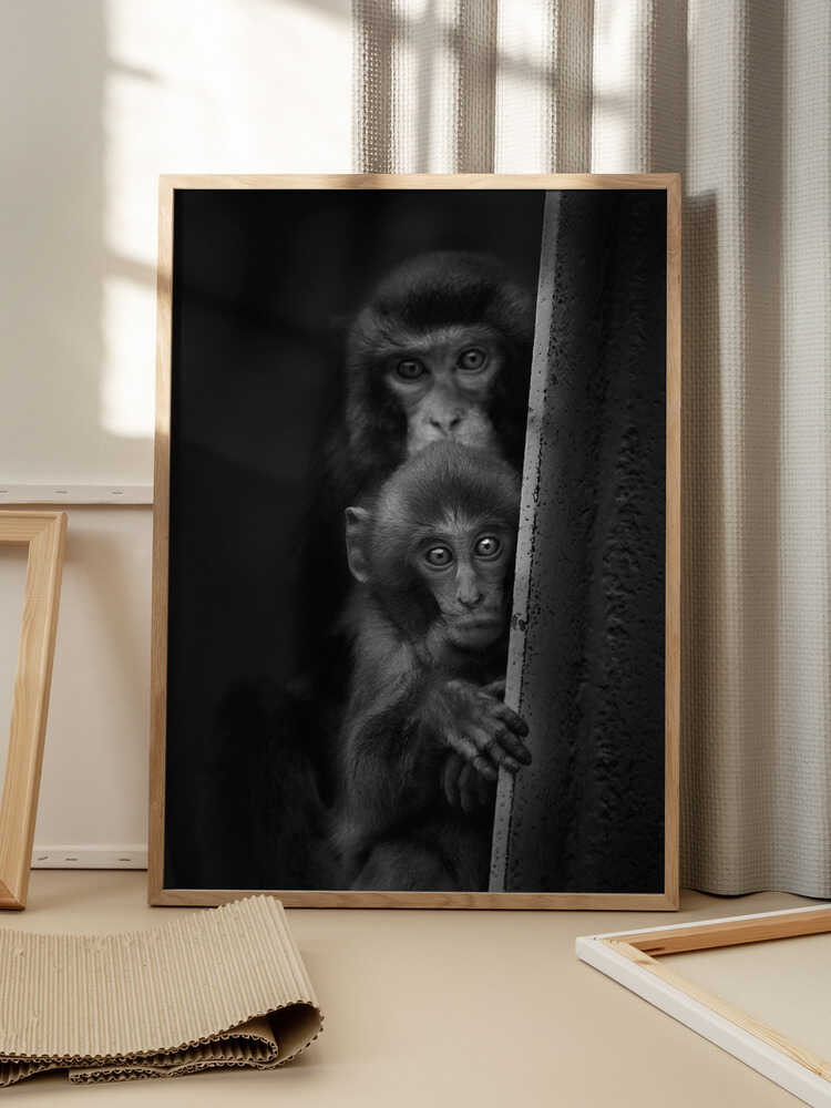 "Curious Eyes" Animal Metal Wall Art