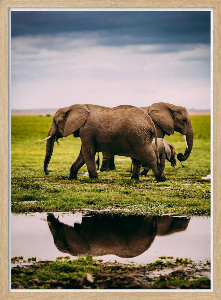 Elephant Family Journey Metal Wall Art