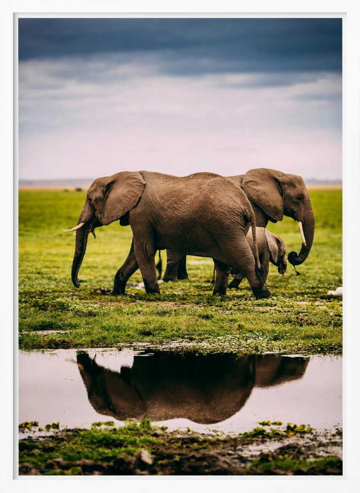 Elephant Family Journey Metal Wall Art