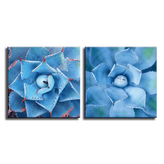 Sapphire Agave Whorls Duo- 2Panel.