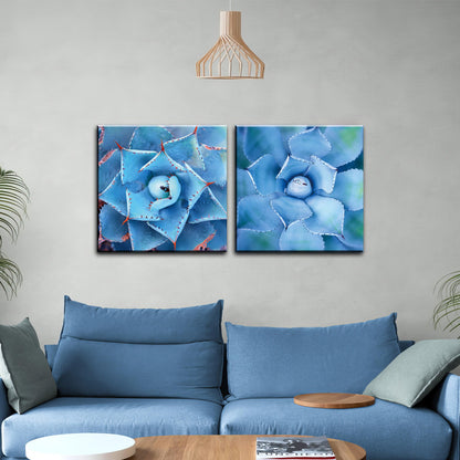 Sapphire Agave Whorls Duo- 2Panel.