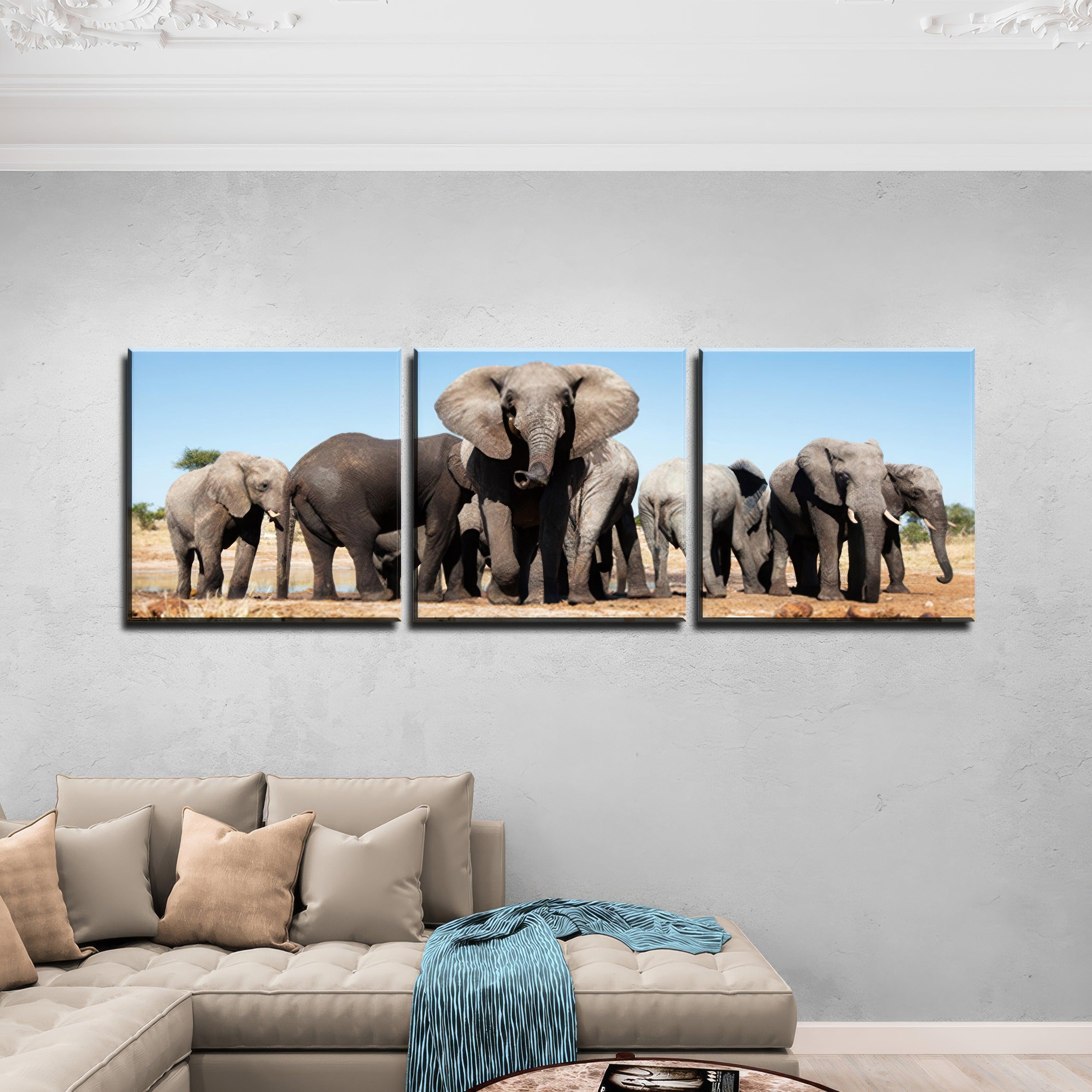 Savannah Elephant Triptych - 3Panel.