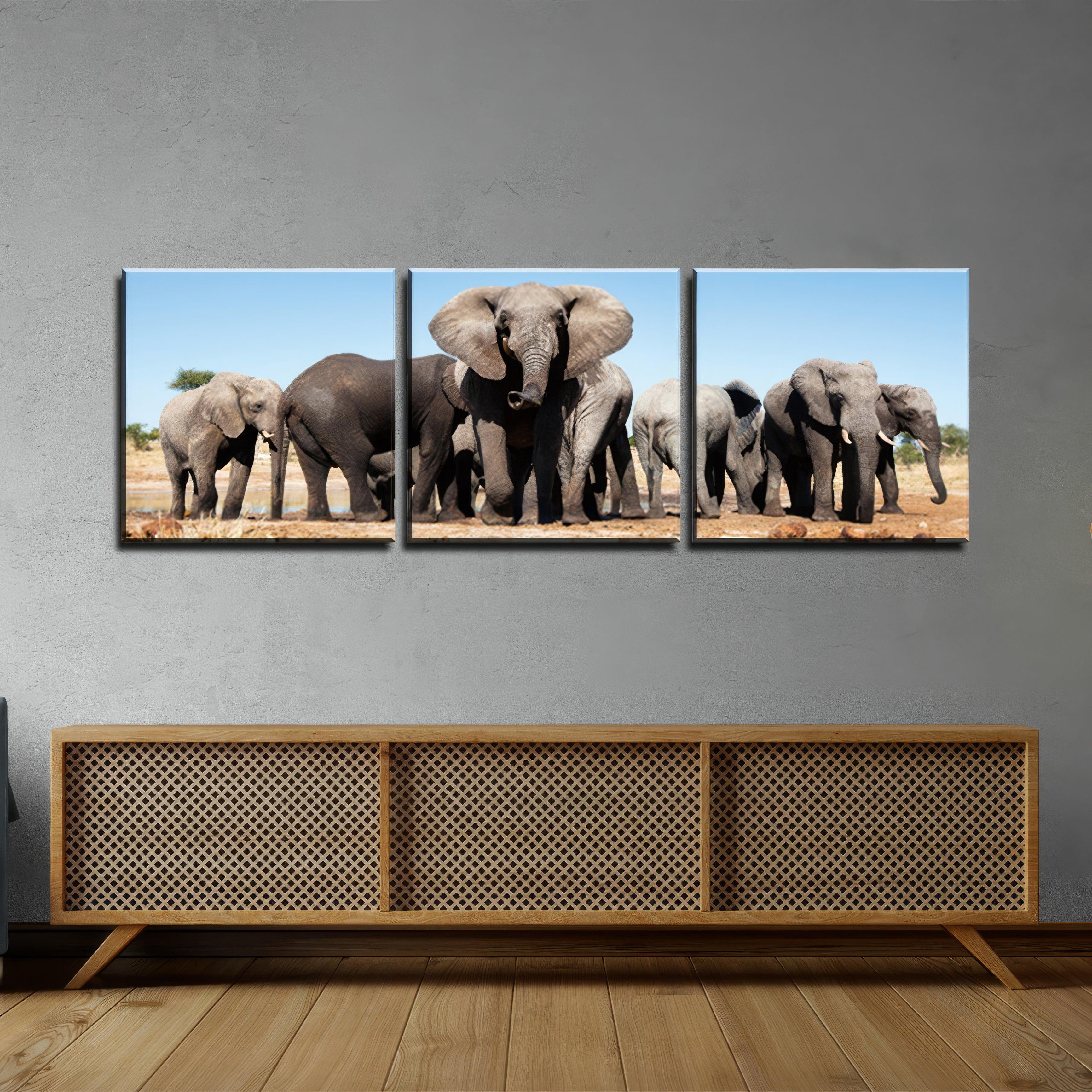 Savannah Elephant Triptych - 3Panel.