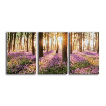 Sunlit Bluebell Glade - 3Panel - PixMagic