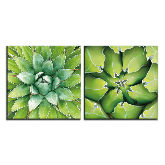Verdant Essence Agave Duo - 2Panel.
