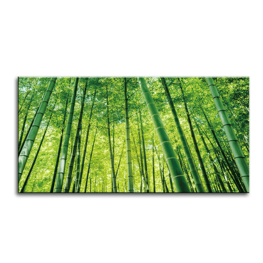 Zen Bamboo Serenity.